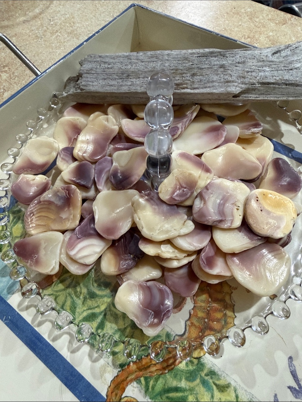 Wampum Shells - Picture 2 of 2